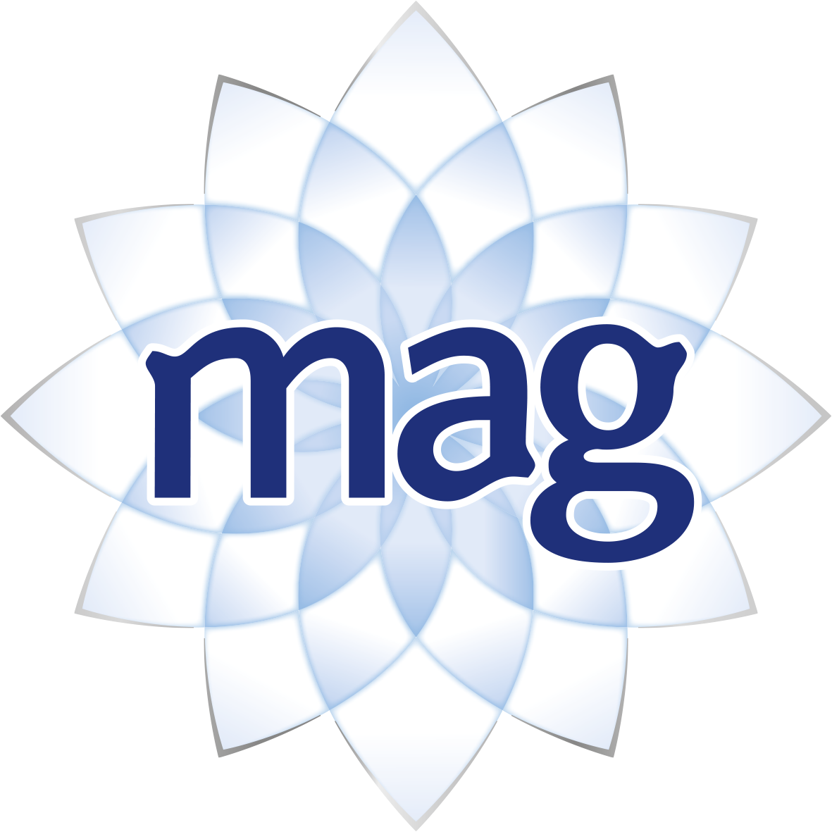 Magne B6® logo