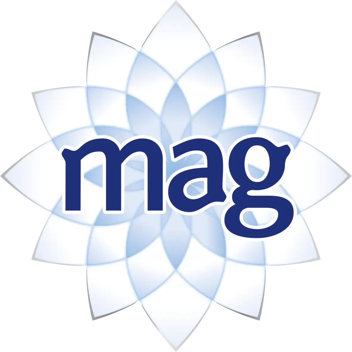 Magne B6® logo